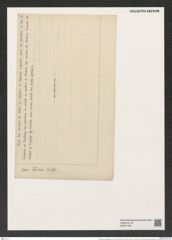 Aulacodiscus margaritaceus var. tener (Witt.) Rattr. (de-Toni-Nr.: Genus 182, Species 4515) Zeichnungen Sammlung Grunow (NHMW-BOT-W0377438)